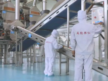 2025年的第一個月，承德亞歐果仁有限公司在山杏產(chǎn)業(yè)的道路上持續(xù)奮進，展現(xiàn)出蓬勃的發(fā)展活力。